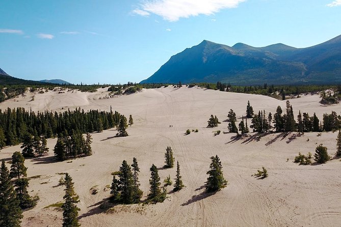 Day-Trip To Skagway - Gateway to the Klondike Goldrush - Carcross Village Highlights