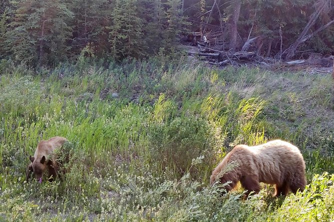 Day-Trip To Skagway - Gateway to the Klondike Goldrush - Booking and Pickup Details