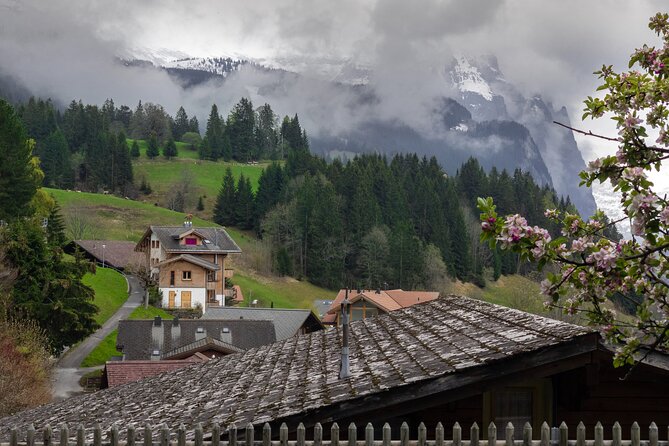 Day Trip to Swiss Villages (Interlaken-Grindelwald) - Accessibility Considerations