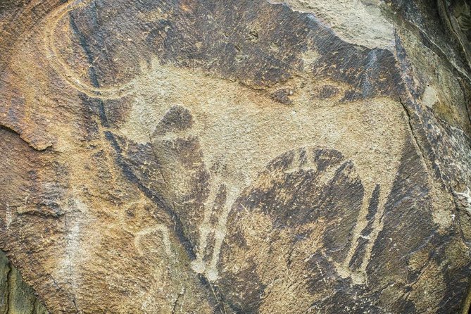 Day Trip to Tanbaly Petroglyphs - Pricing and Booking