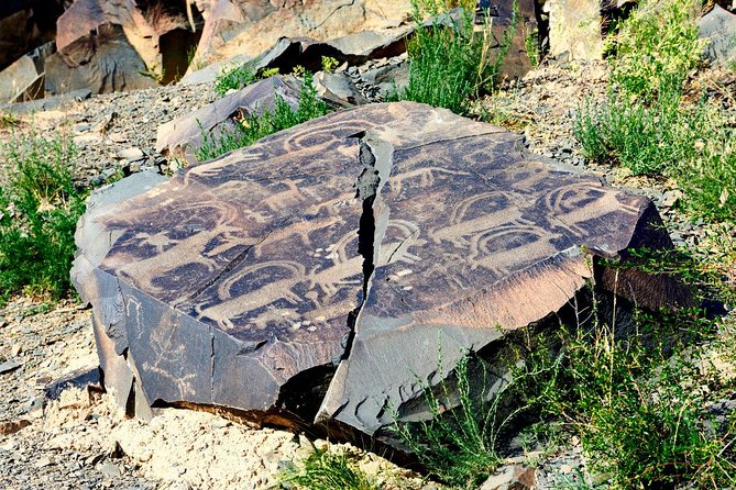 Day Trip to Tanbaly Petroglyphs - Inclusions