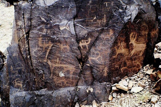 Day Trip to Tanbaly Petroglyphs - Traveler Reviews