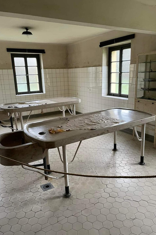Day Trip to Terezín Concentration Camp With Czech Lunch - Booking and Accessibility