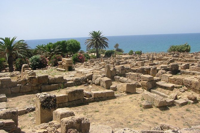 Day Trip to the Acropolis of Selinunte From Trapani - Highlights of the Day Trip