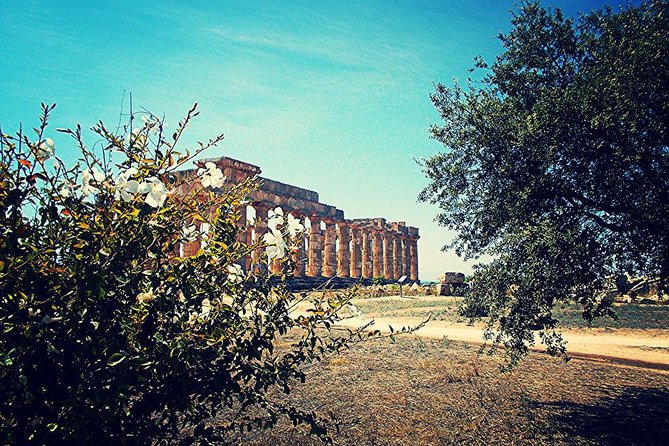 Day Trip to the Acropolis of Selinunte From Trapani - Visiting Marinella Di Selinunte