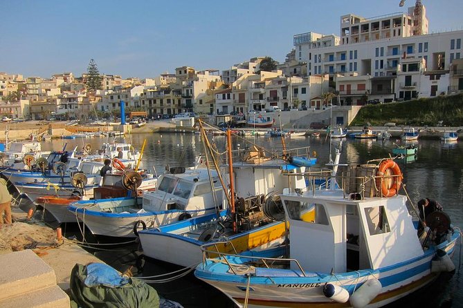 Day Trip to the Acropolis of Selinunte From Trapani - Meeting Point and Logistics