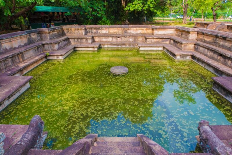 Day Trip to the Ancient City of Polonnaruwa From Negombo - Highlights and Attractions