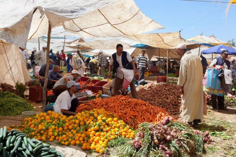 Day Trip to the Atlas Mountains and 5 Valleys From Marrakech - Exploring the Ourika Valley