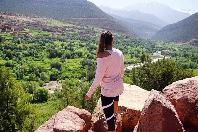 Day Trip to the Atlas Mountains With Locals - Key Points