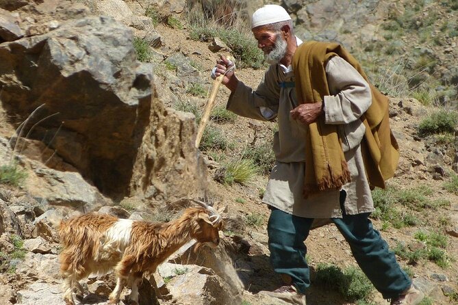 Day Trip to the Atlas Mountains With Locals - Itinerary Overview