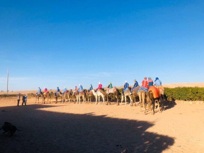 Day Trip to the Berber Villages and Camel Ride - Guided Walk Through Imlil Valley