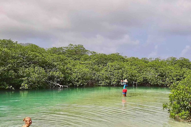 Day Trip to the Caribbean Sea on a Beautiful Sailboat - Includes Lunch - Recommended Items