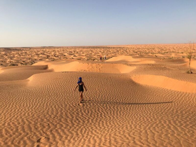Day Trip to the Desert to Ksar Ghilane From Djerba or Zarzis - Highlights of Ksar Ghilane