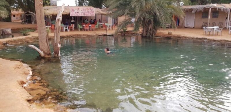 Day Trip to the Desert to Ksar Ghilane From Djerba or Zarzis - Optional Activities