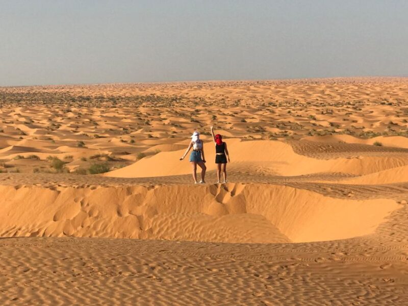 Day Trip to the Desert to Ksar Ghilane From Djerba or Zarzis - Whats Included