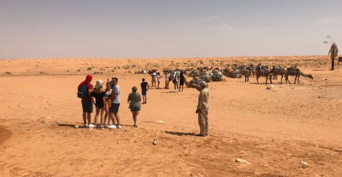 Day Trip to the Desert to Ksar Ghilane From Djerba or Zarzis - Whats Not Included