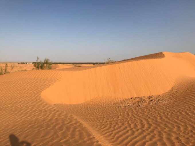 Day Trip to the Desert to Ksar Ghilane From Djerba or Zarzis - Travel Tips