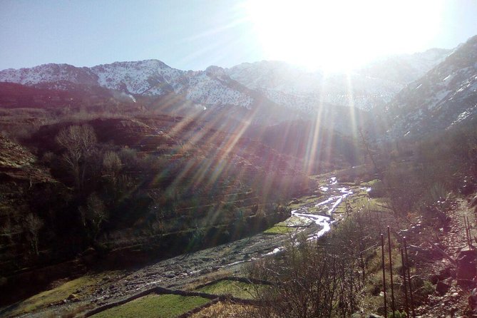 Day Trip to the High Atlas & Camel Ride - Tour Specifications