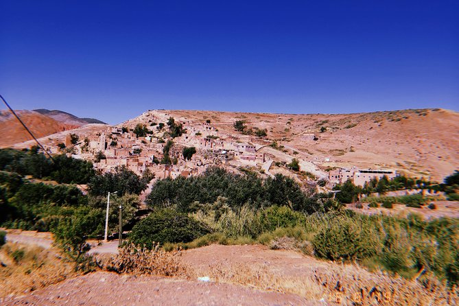 Day Trip to the High Atlas & Camel Ride - Customer Reviews and Ratings