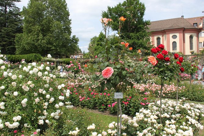 Day Trip to the Island of Mainau With Highlights on Lake Constance From / to Oberstaufen - Traveler Photos of the Island