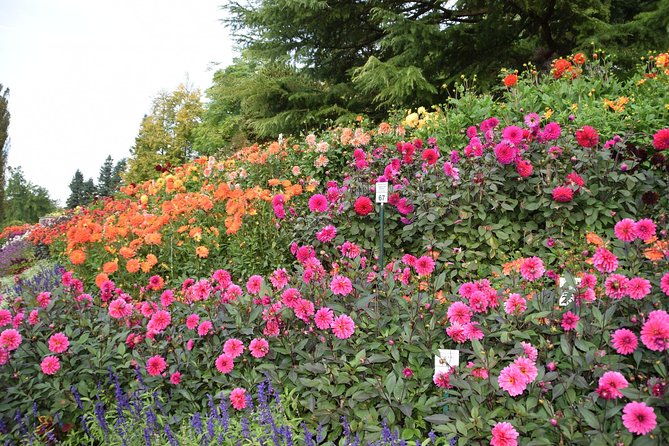 Day Trip to the Island of Mainau With Highlights on Lake Constance From / to Oberstaufen - Pricing and Cost Considerations