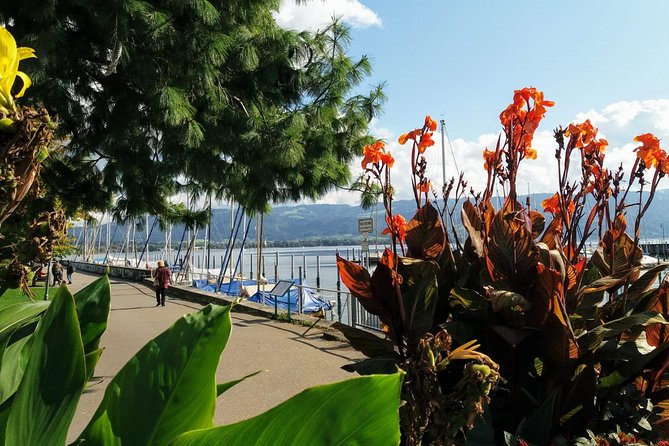 Day Trip to the Island of Mainau With Highlights on Lake Constance From / to Oberstaufen - Trip Highlights on Lake Constance