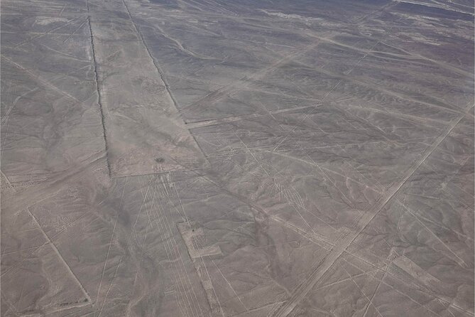 Day Trip to the Nazca Lines & Huacachina From Lima - Experiencing the Nazca Lines