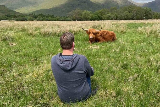 Day Trip to the Scottish Highlands - Traveler Accessibility and Restrictions