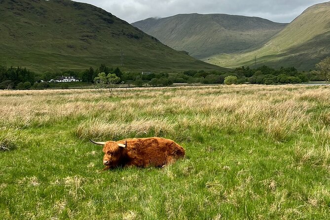 Day Trip to the Scottish Highlands - Trip Logistics and Preparation