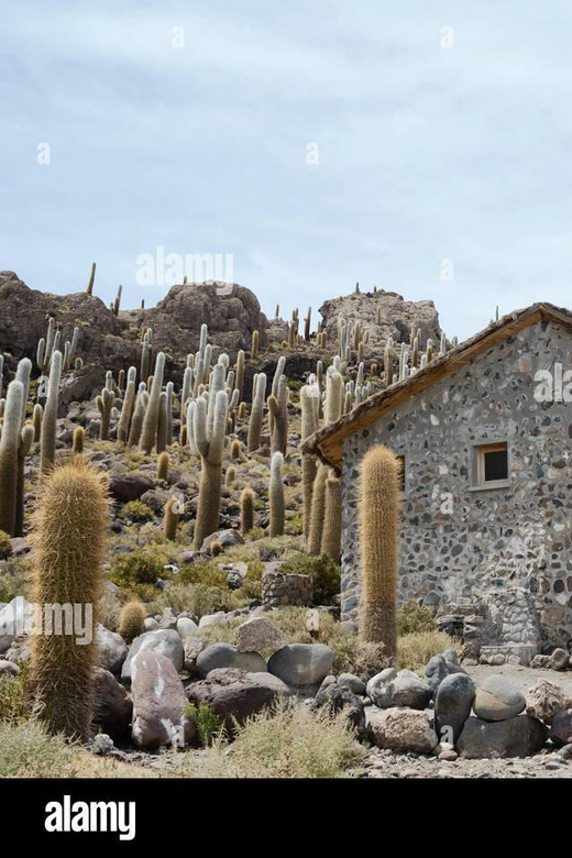 Day Trip to the Uyuni Salt Flats - Itinerary Highlights