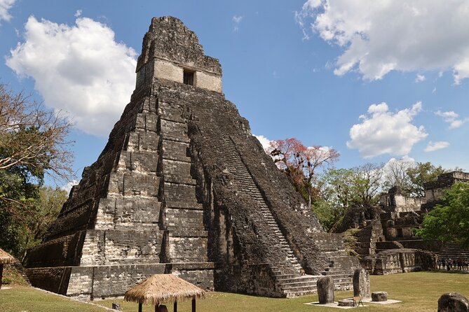 Day Trip to Tikal Maya Ruins Including Lunch - Tour Overview