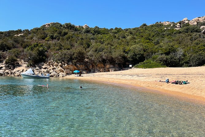 Day Trip to Tizzano and Its White Sandy Beaches - Customer Reviews and Feedback