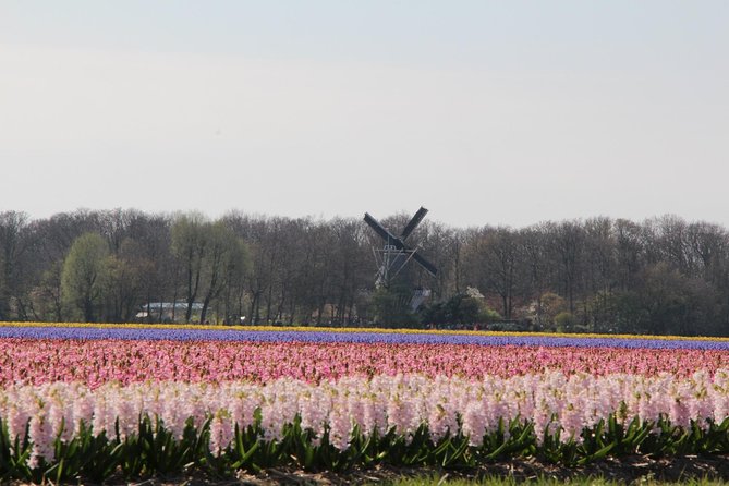 Day Trip To Tulip Gardens Of Keukenhof From Amsterdam: Private & Personalized - Tour Overview