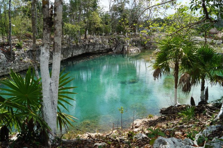 Day Trip to Tulum, Cobá, Cenote and Playa Del Carmen - Key Points