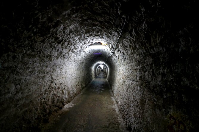 Day Trip to Turda Salt Mine and Corvin Castle From Timisoara - Tour Overview