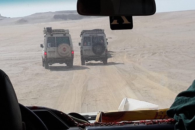 Day Trip to Valley of Whales From Cairo - Wadi El Hitan - Pickup and Scheduling