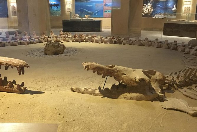 Day Trip to Valley of Whales From Cairo - Wadi El Hitan - Pricing and Payment Options