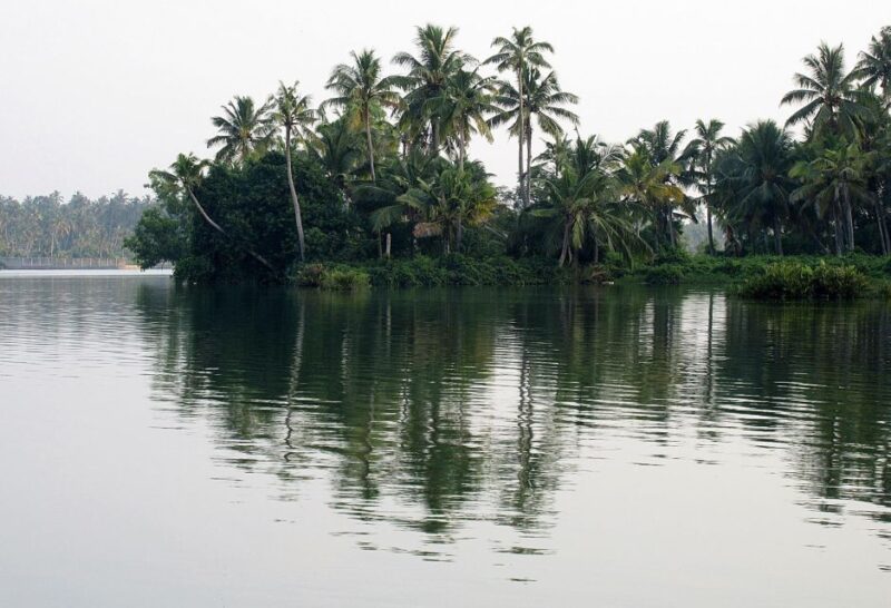 Day Trip to Varkala From Trivandrum (Guided Full Day Tour) - Key Points