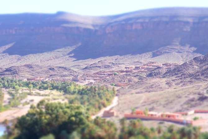 Day Trip to Visit Ouarzazate - Highlights of the Tour