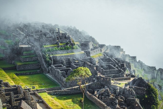 Day Trip Tour to Machu Picchu by Panoramic Train From Cusco - Panoramic Train Journey