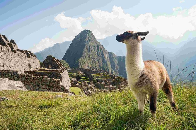 Day Trip Tour to Machu Picchu From Cusco - Transportation and Accessibility