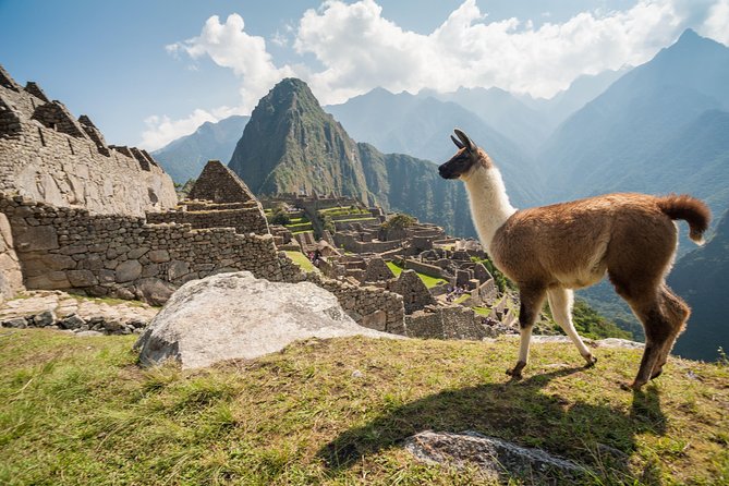 Day Trip Tour to Machu Picchu From Cusco - Booking Information and Policies