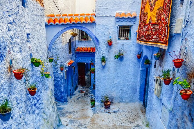 Day Trip Transport From Fes to Chefchaouen (The Blue City) - Cancellation Policy and Lowest Price Guarantee