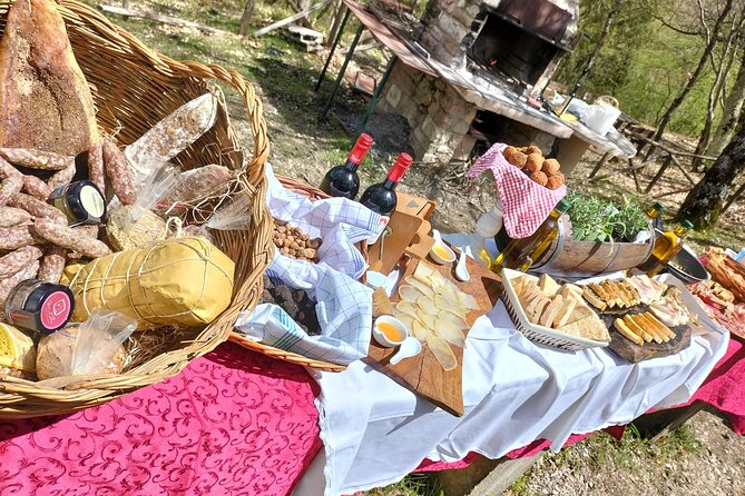 Day Trip: Truffle Hunting With Lunch and Spello Guided Tour - Day Trip Schedule