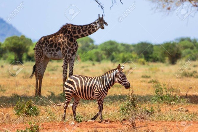 Day Trip - Tsavo East National Park ( Man Eater Lions of Tsavo & Other Big Five) - Opportunity to Spot the Big Five