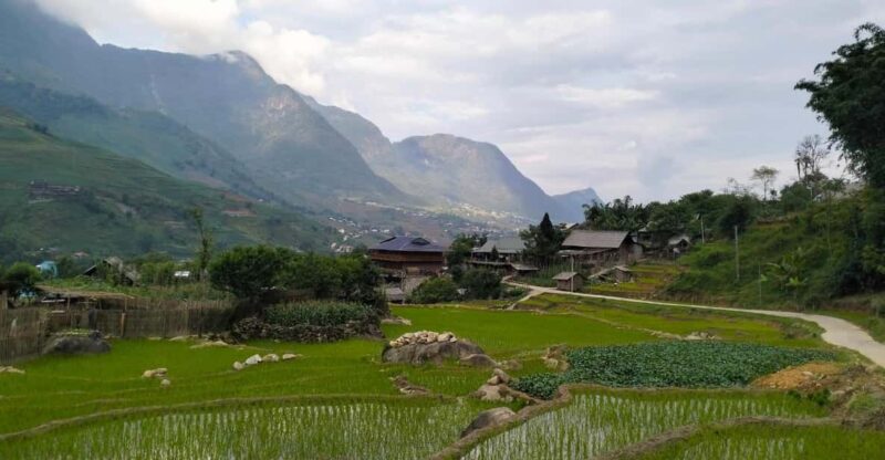 Day Trip Visit Y Linh Ho,Lao Chai –Ta Van - Cat Cat Village - Key Points