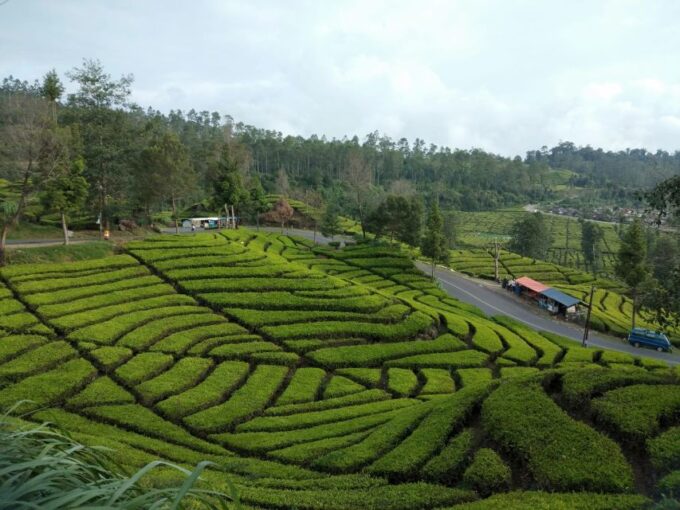 Day Trip White Crater Ciwidey Bandung All In - Tour Guide - Customer Reviews