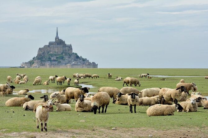 Day Trip With a Local Driver Mont Saint-Michel From Saint-Malo - 6 Hours - Cancellation and Refund Policy
