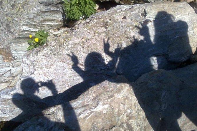 Day Trips and Excursions in Nature, Cities in Transylvania, Brasov! - Private Tours Highlights