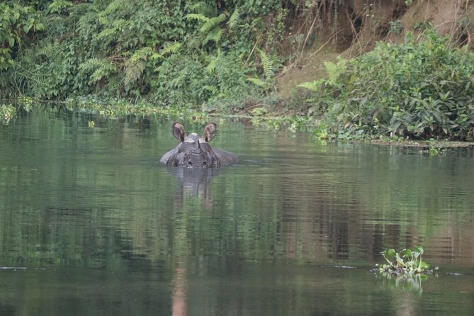 Day Walk(8-10h.) Inside Chitwan National Park. - Chitwan National Park Overview